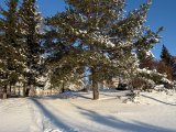 Погода в Набережных Челнах на 6 февраля