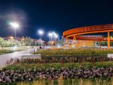 В Набережных Челнах сохраняется ветреная погода