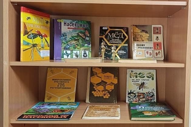 Книжная выставка «Пчелы: тайны их мира»
