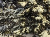 Погода в Набережных Челнах на 24 декабря