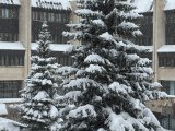 Погода в Набережных Челнах на 4 февраля