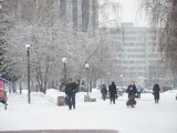 В Татарстане ожидается метель с ухудшением видимости до 1-2 км и сильный ветер порывами до 15 м/с
