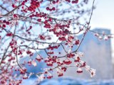 Погода в Набережных Челнах на 25 февраля