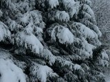Погода в Набережных Челнах на 23 января