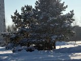 Погода в Набережных Челнах на 8 февраля