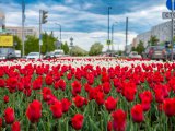 Яр Чаллыда 13 майга һава торышы