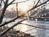 Погода в Набережных Челнах на 28 марта
