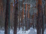 Челнинский ветеран Фавзия Тенишева отмечает свое 94-летие
