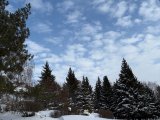 Погода в Набережных Челнах на 3 февраля