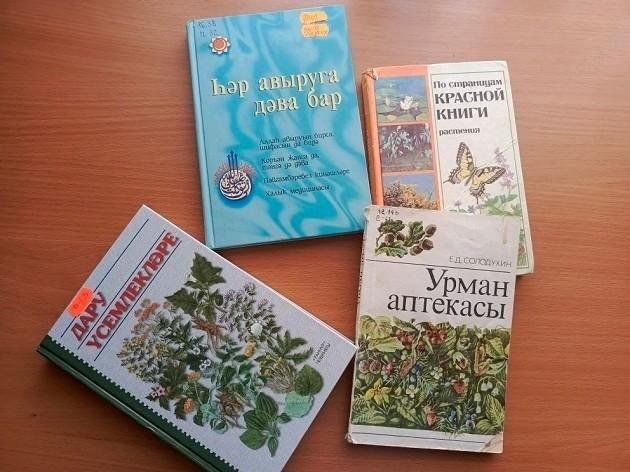 Урок здоровья «Лекарство из лукошка»
