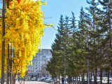 Погода в Набережных Челнах на 6 апреля