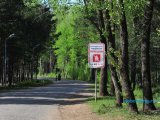 Челнинцев предупреждают остерегаться клещей