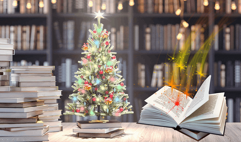 Программа «Книжное путешествие в новогоднюю ночь»