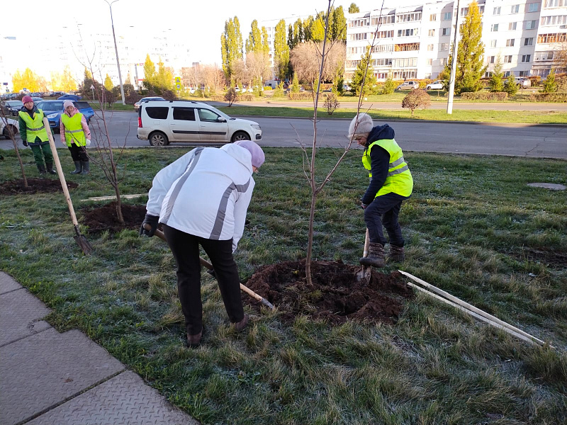 Челнинцы посадили более 13 тысяч деревьев