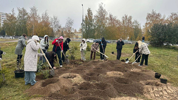 Более 700 челнинцев приняли участие в субботнике