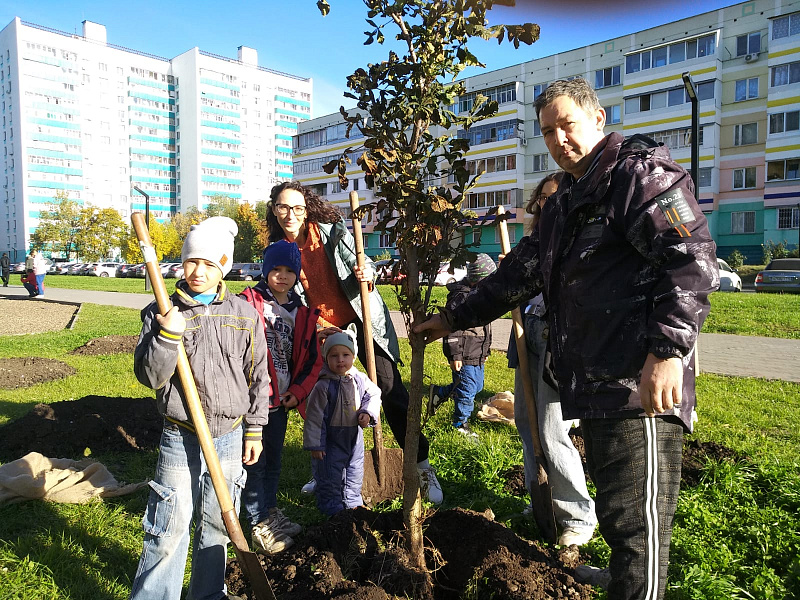 В рамках осеннего субботника высажено свыше 600 деревьев