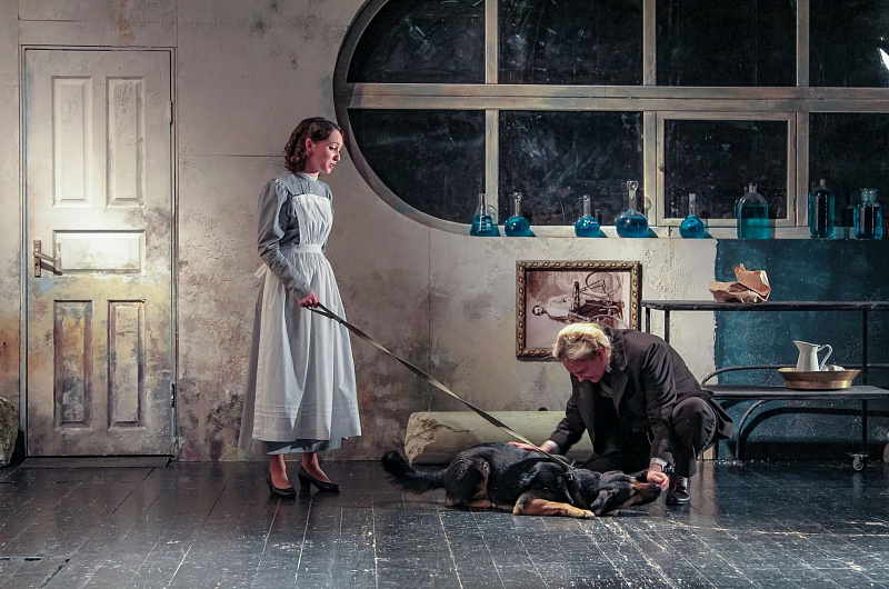 The play 